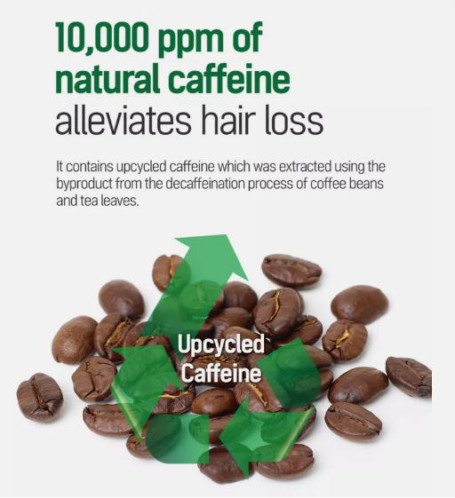 TS SHAMPOO Plus (Made in Korea - 16.9 fl oz / 500 ml)