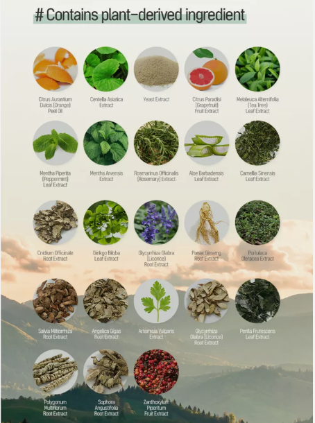 TS SHAMPOO Plus (Made in Korea - 16.9 fl oz / 500 ml)