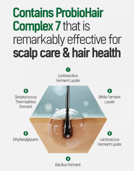 TS SHAMPOO Plus (Made in Korea - 16.9 fl oz / 500 ml)