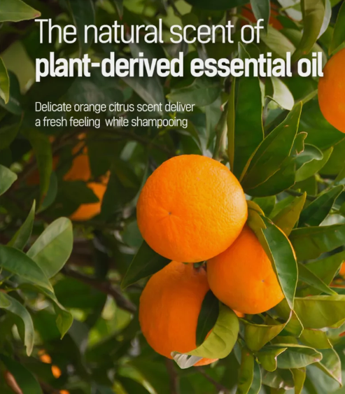 TS SHAMPOO Plus (Made in Korea - 16.9 fl oz / 500 ml)