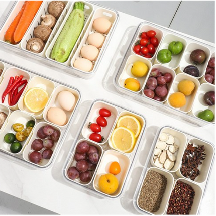 Large Snap-Lock Storage Container with 8 Removable Compartments, Clear Lid, & Carrying Handles