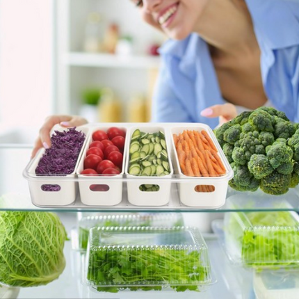 Large Snap-Lock Produce Storage Container w/ 4 Removable Strainers, Clear Lid, & Carrying Handles