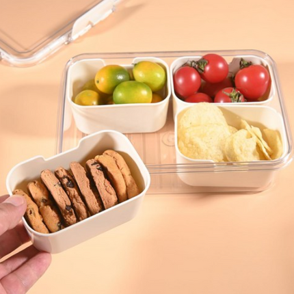 Small Snap-Lock Storage Organizer Container w/ 4 Removable Solid Compartments & Clear Lid
